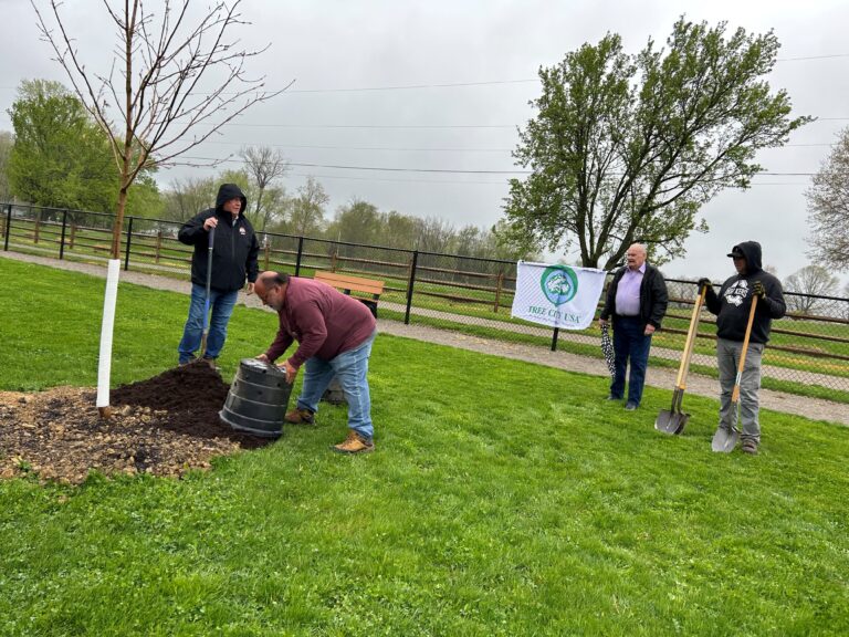 New Philadelphia celebrates Arbor Day with tree planting at Southside ...